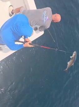 Fishing in Arcadia, Florida