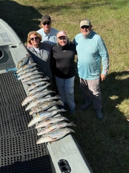Speckled Trout Fishing in Swan Quarter, North Carolina