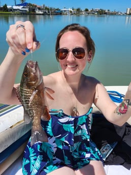 Fishing in Fort Myers Beach, Florida