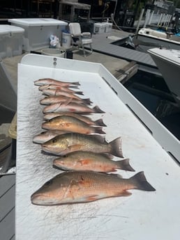 Fishing in Key West, Florida