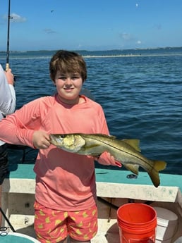 Snook Fishing in Holmes Beach, Florida