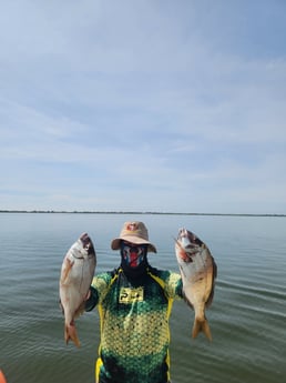 Fishing in Port Jefferson, New York