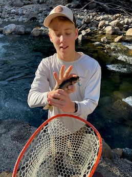 Fishing in Hume, California