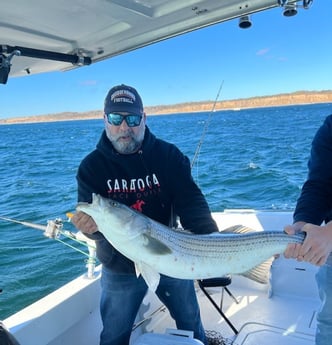 Striped Bass Fishing in Montauk, New York