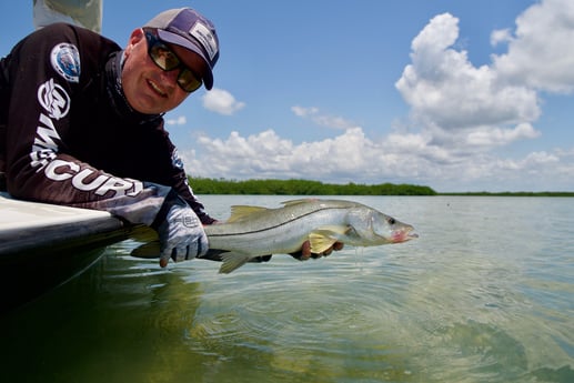 Snook Fishing in Islamorada, Florida