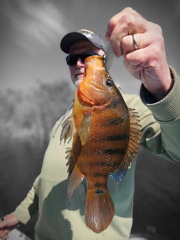 Fishing in Pembroke Pines, Florida