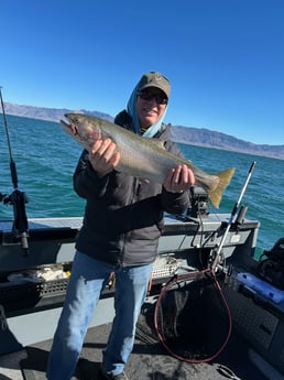 Fishing in Reno, Nevada