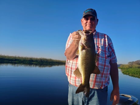Largemouth Bass Fishing in Kissimmee, Florida