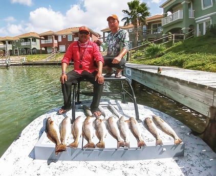 Redfish Fishing in Rio Hondo, Texas
