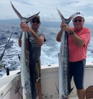 Sailfish fishing in Kailua-Kona, Hawaii