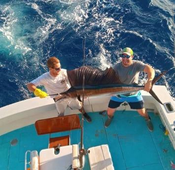 Sailfish Fishing in West Palm Beach, Florida