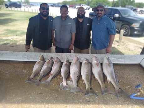 Redfish fishing in San Antonio, Texas