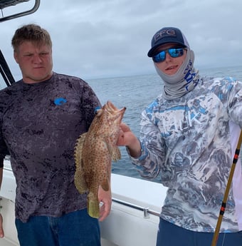 Strawberry Grouper fishing in Port O'Connor, Texas