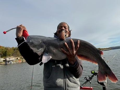 Fishing in Warsaw, Missouri