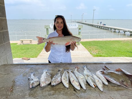 Black Drum, Redfish, Speckled Trout, Stingray Fishing in Palacios, Texas