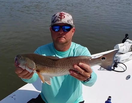 Redfish Fishing in St. Augustine, Florida