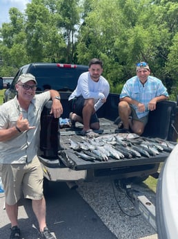 King Mackerel / Kingfish fishing in Gulf Shores, Alabama