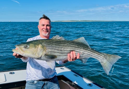 Striped Bass fishing in Montauk, New York