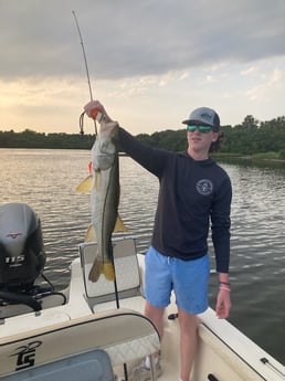 Snook Fishing in Cedar Key, Florida