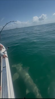 Fishing in Marco Island, Florida
