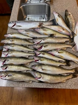 Fishing in Clay Township, Michigan