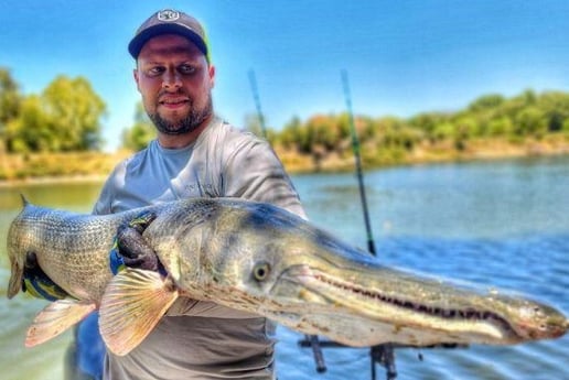 Alligator Gar Fishing in Dallas, Texas