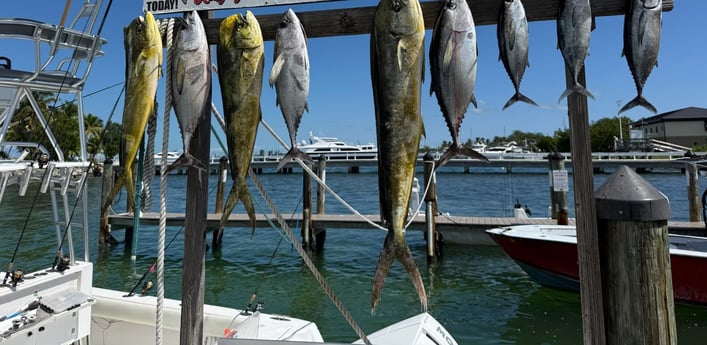 Fishing in Marathon, Florida