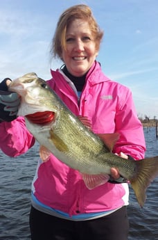 Largemouth Bass Fishing in Alba, Texas