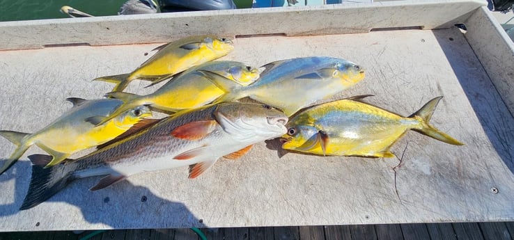 Fishing in Naples, Florida