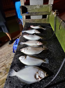 Flounder Fishing in Rio Hondo, Texas