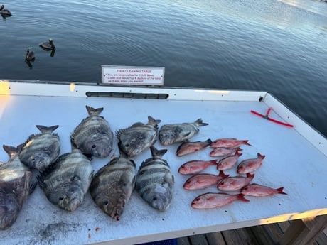 Fishing in Foley, Alabama