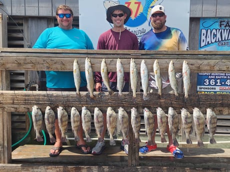 Black Drum, Speckled Trout Fishing in
