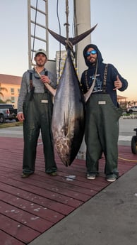 Yellowfin Tuna Fishing in Boothville-Venice, Louisiana