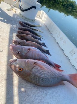 Fishing in Key West, Florida