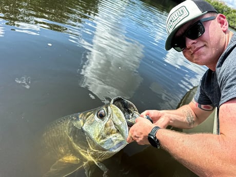 Tarpon Fishing in