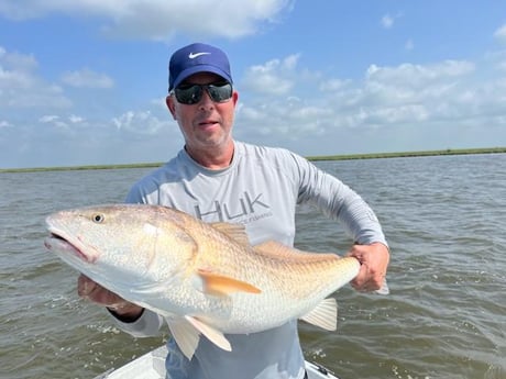Redfish Fishing in New Orleans, Louisiana