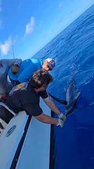 Fishing in South Padre Island, Texas