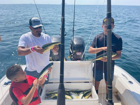 Mahi Mahi Fishing in Gulf Shores, Alabama