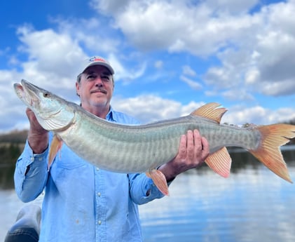 Muskie Fishing in Knoxville, Tennessee