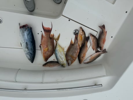 Fishing in Key Largo, Florida