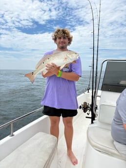 Fishing in Gulf Shores, Alabama