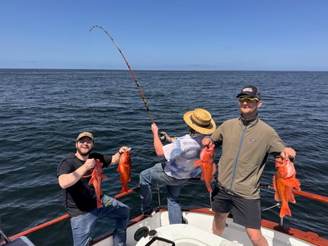 Rockfish Fishing in