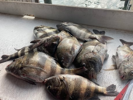 Fishing in Port O&#039;Connor, Texas