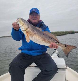 Redfish Fishing in New Orleans, Louisiana