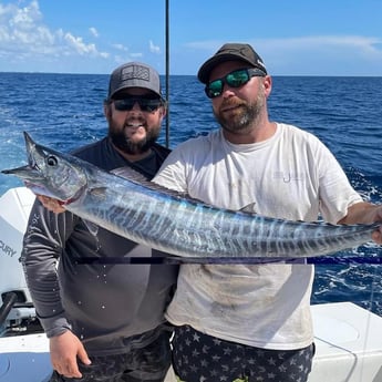 Wahoo Fishing in Pompano Beach, Florida