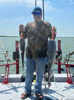 Blue Catfish Fishing in Dallas, Texas