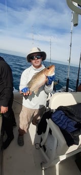 Fishing in Sarasota, Florida