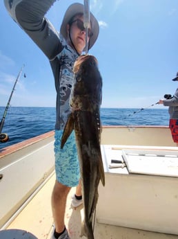 Cobia Fishing in Fernandina Beach, Florida