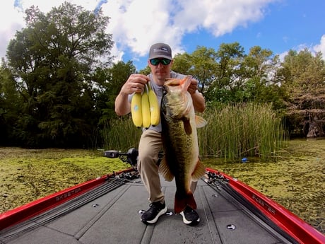 Fishing in Austin, Texas