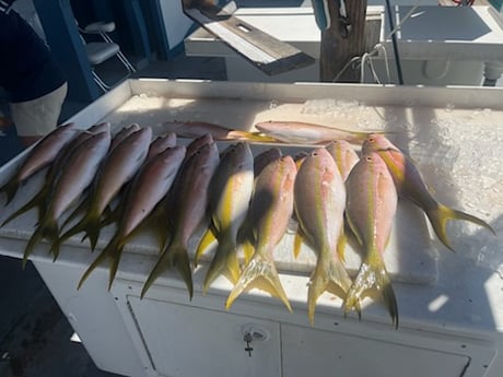 Fishing in Islamorada, Florida